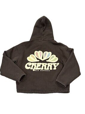 Cherry LA Dye Company Hoodie in Ash Brown